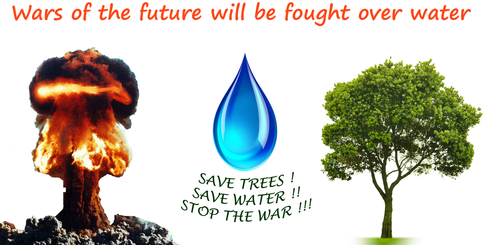 Short Essay On Save Water, Save Trees! 2023 – My Study Times