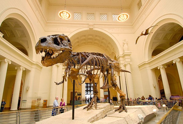 Visit to a Museum : Essay, Speech, Report, Article, Composition, IELTS Cue Card