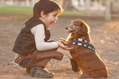 10 Reasons Why Having A Pet DOG Is The Best Thing Ever