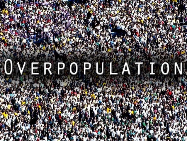 Overpopulation Problem Essay , Article , Paragraph , Prevention Steps